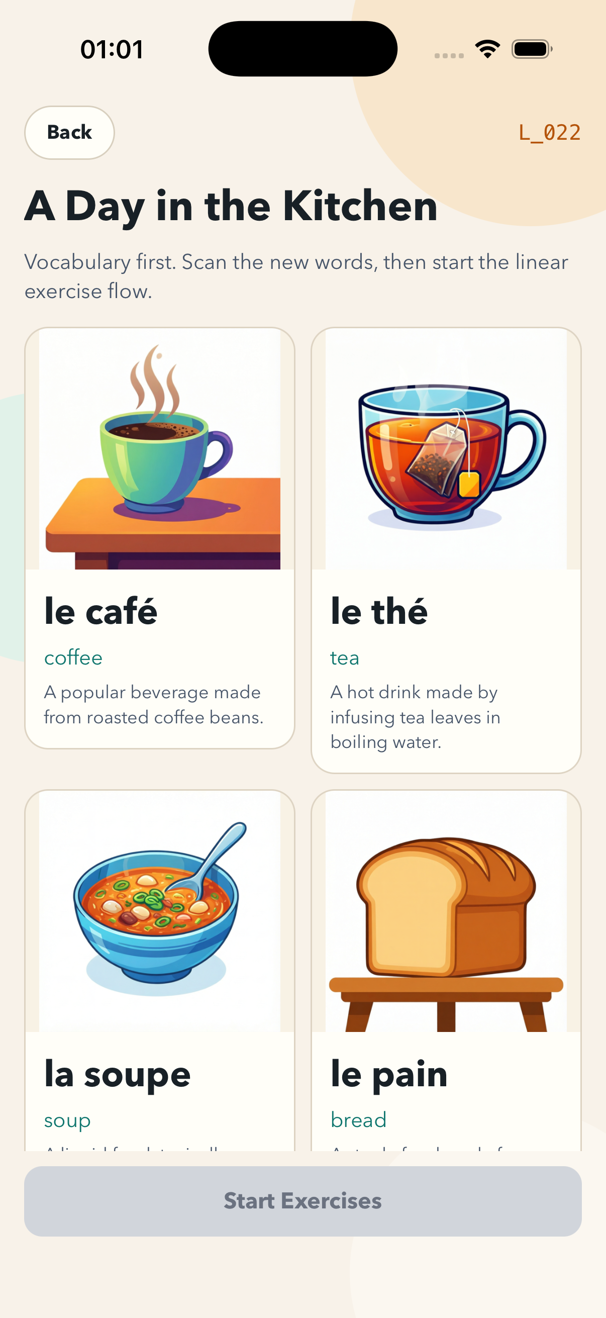 Lesson vocabulary